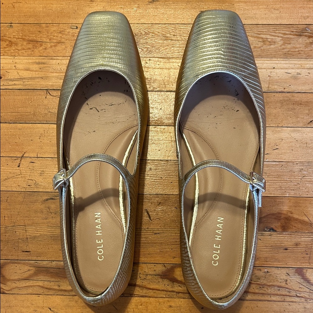 Cole Haan Mary Jane Ballet Flats Gold 9.5